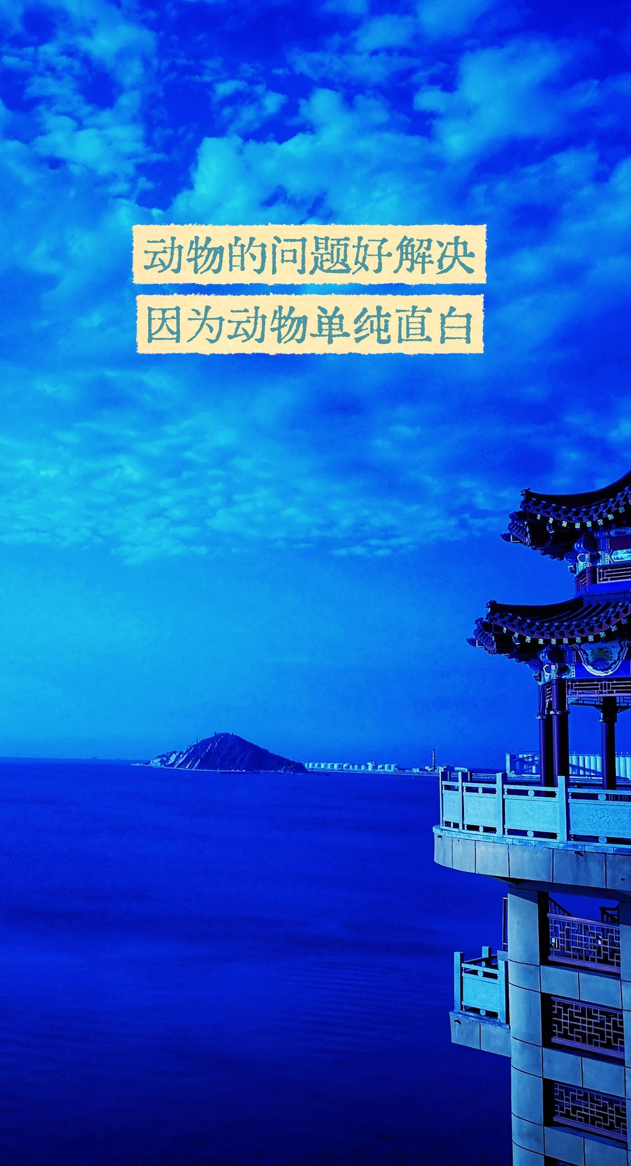 动物和人游走人世间，动物直白，单纯，直接，而人七情六欲，一个容易解决，一个解决不