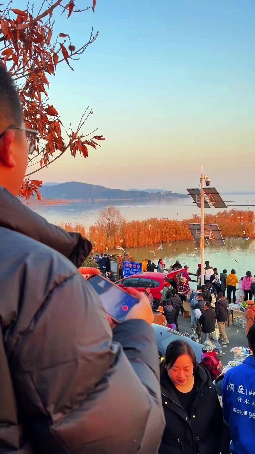 🦆周六来苏州太湖石壁禅寺看红嘴鸥的人真多啊！
🦆红嘴鸥成群结队在湖面嬉戏，抢