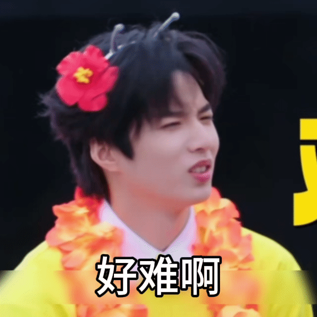为大学生期末周静音🤫 