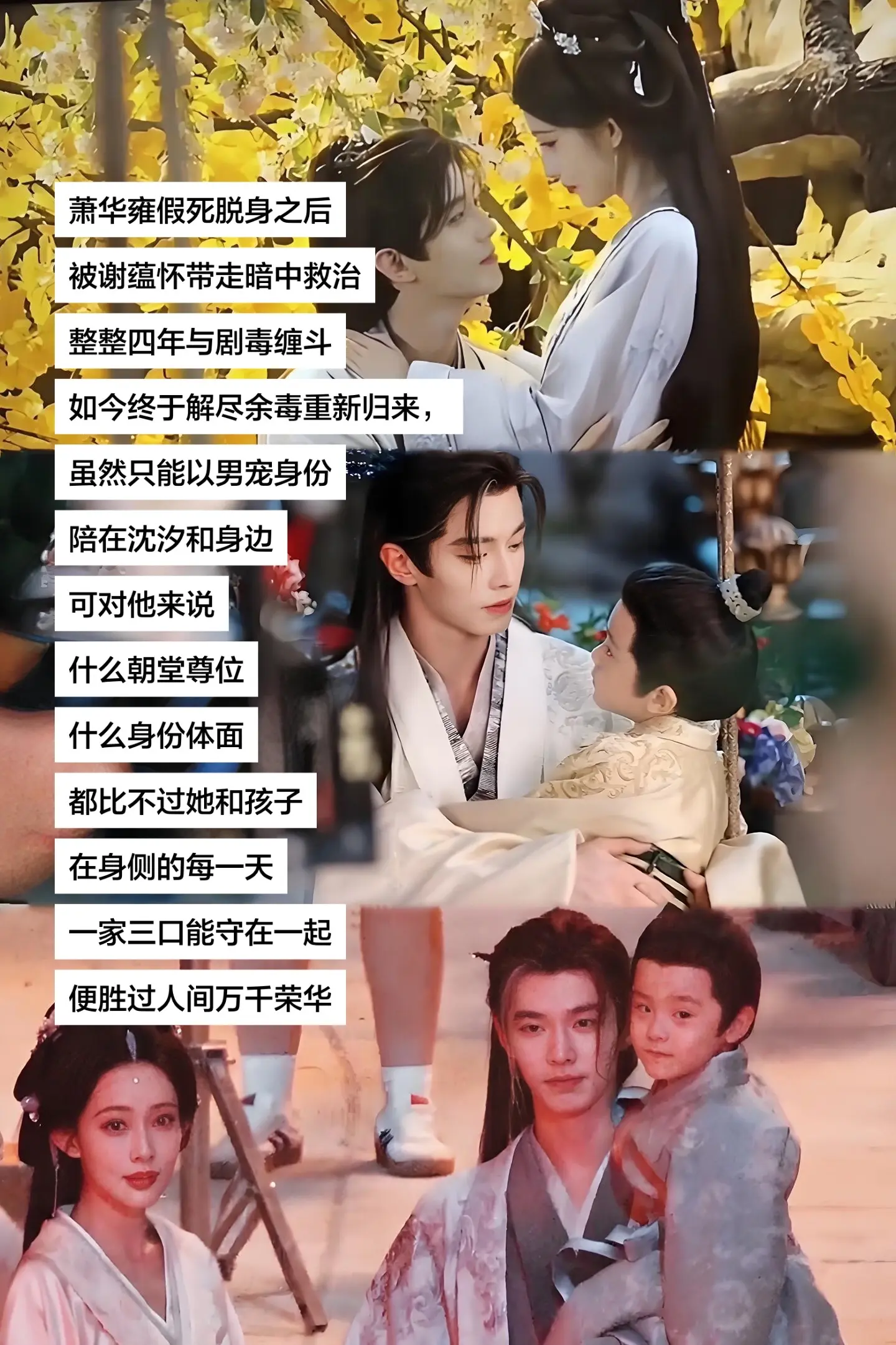 假死脱身之后，被谢蕴怀带走暗中救治，整整四年与剧毒缠斗，如今终于解尽余...