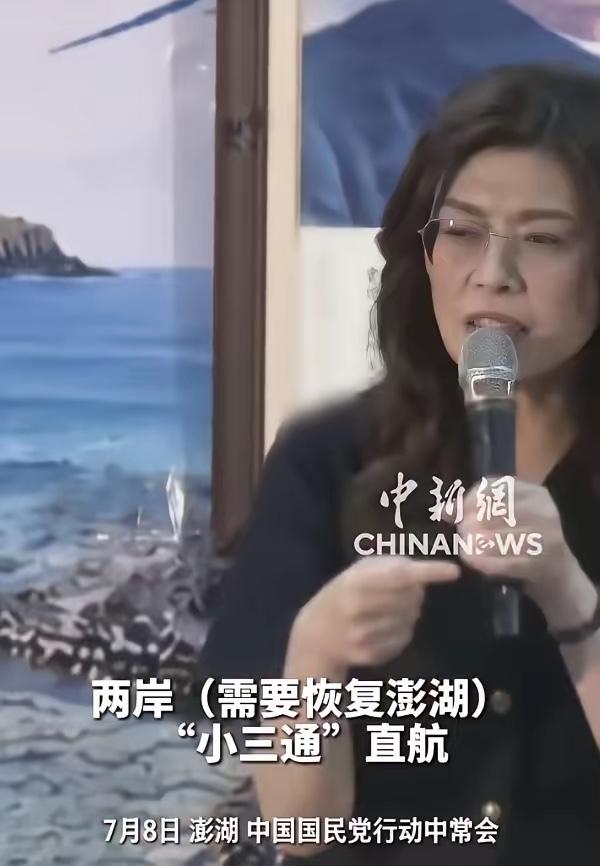 7月8日，中国国民党主席郑丽文在澎湖举行的行动中常会上表示，澎湖机场“不只飞机可