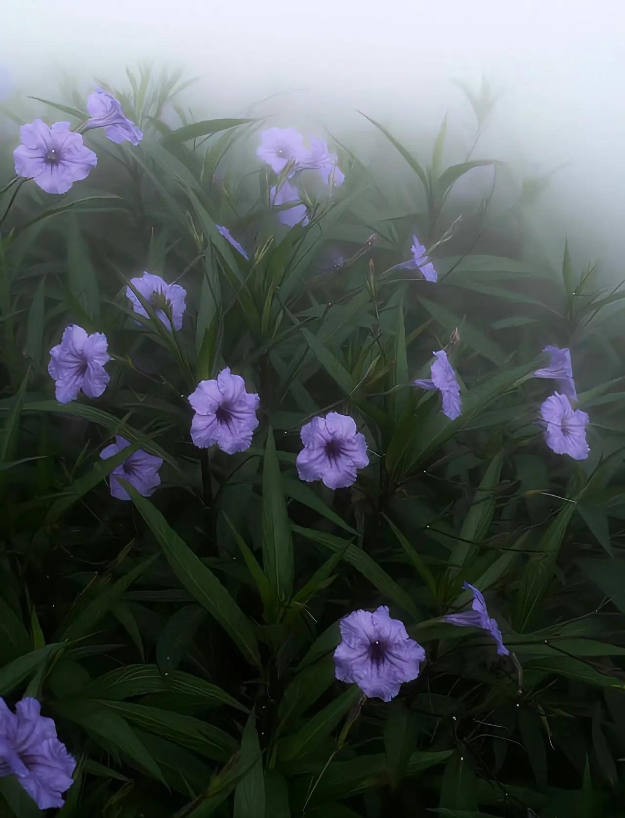 人到一定年龄，会排斥小动太多的人，会排斥无效和内耗的所有关系。