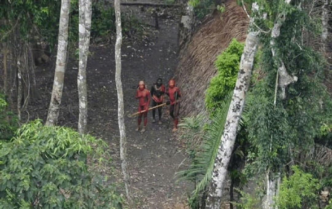 无人机拍到亚马逊森林里的原始部落。
巴西土著管理机构FUNAI通过无人机航拍巴西