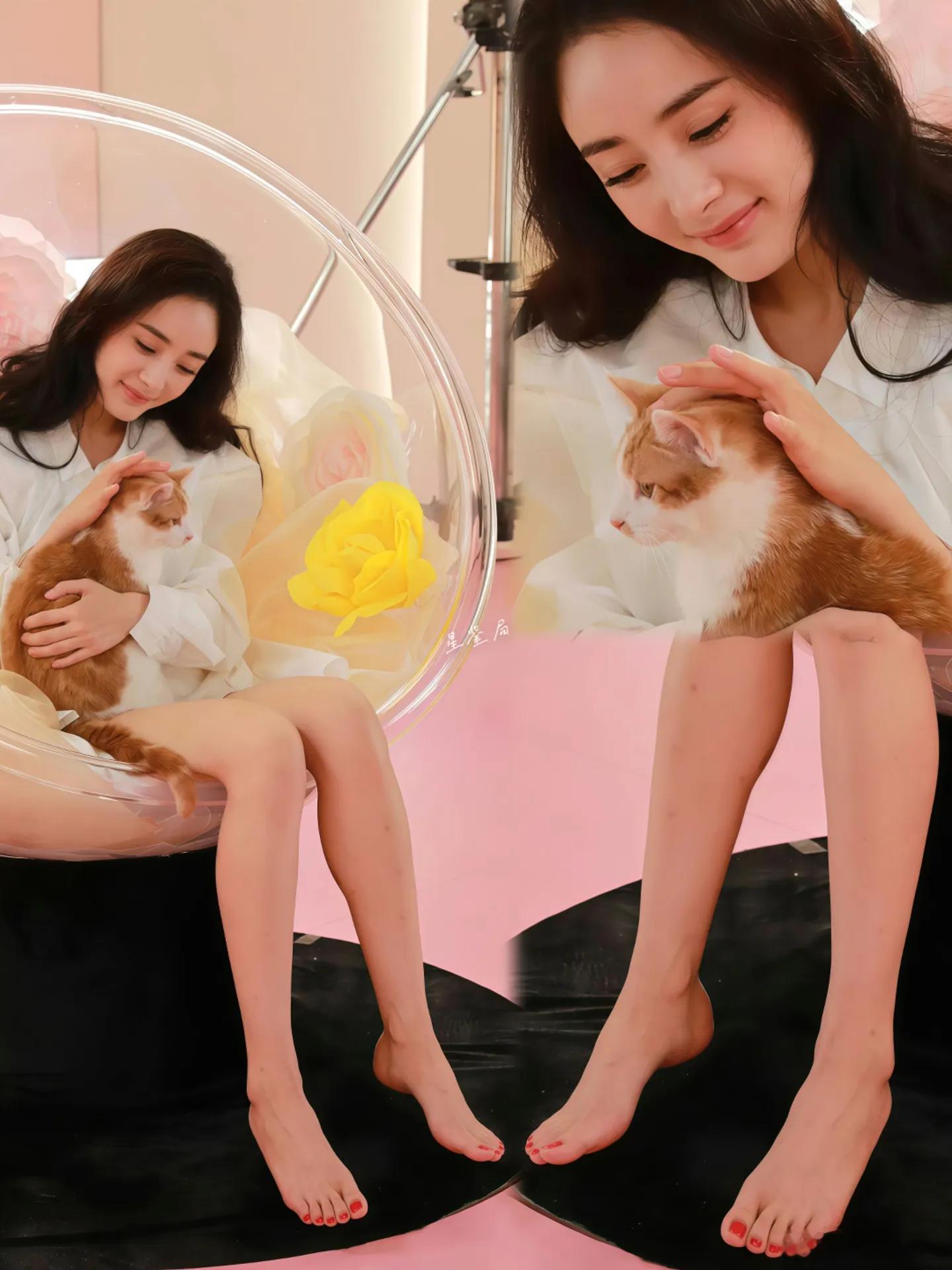 你想成为杨幂怀里的小猫吗？ ​​​