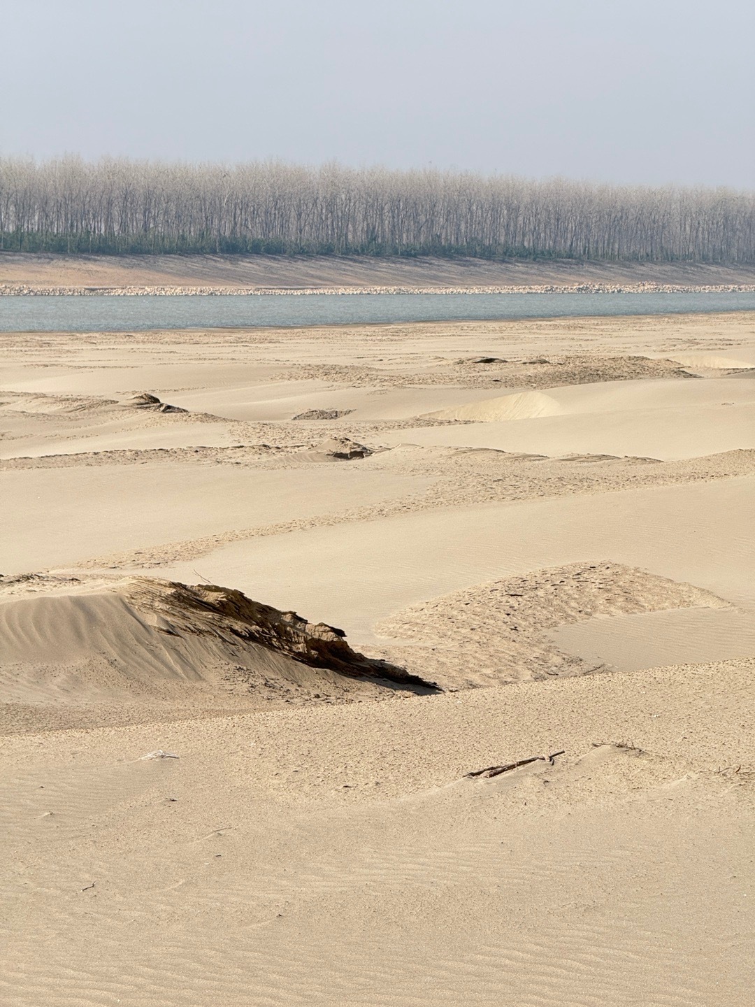 一个人最重要的能力，不是你把自己打扮得多么漂亮，也不是你挣钱有多厉害，而是无论发