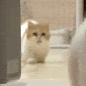 多少人盼着这一天！之前乱糟糟的环境让人糟心，现在🐟直接出手整治，不手软不姑息，