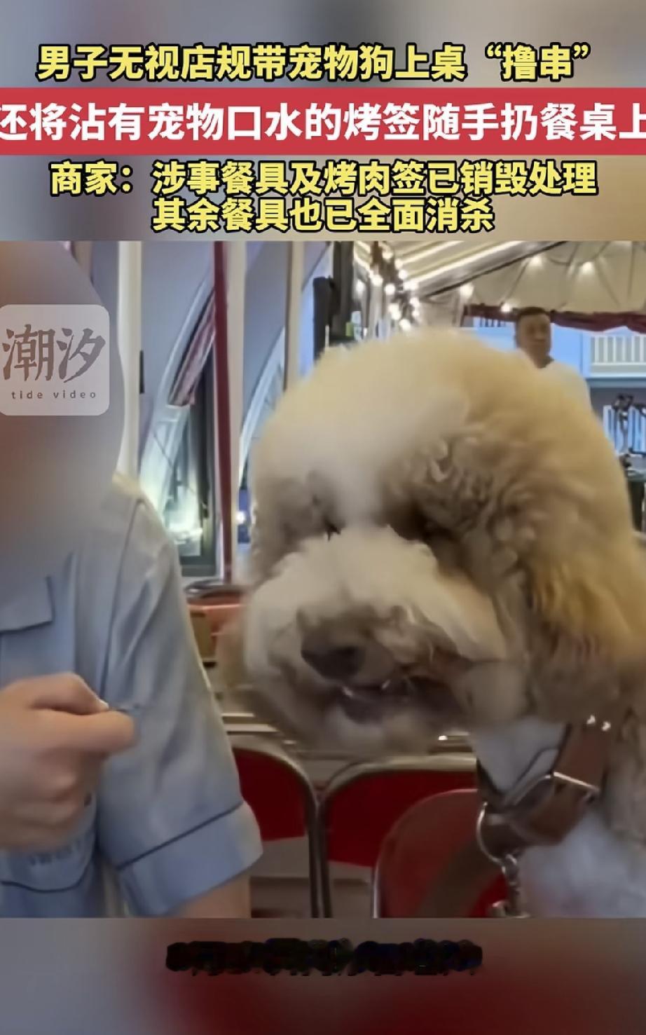 这可能就是养狗者的爱心吧！
7月15日，包头市萨拉齐镇上的一家烧烤店，一个带狗进