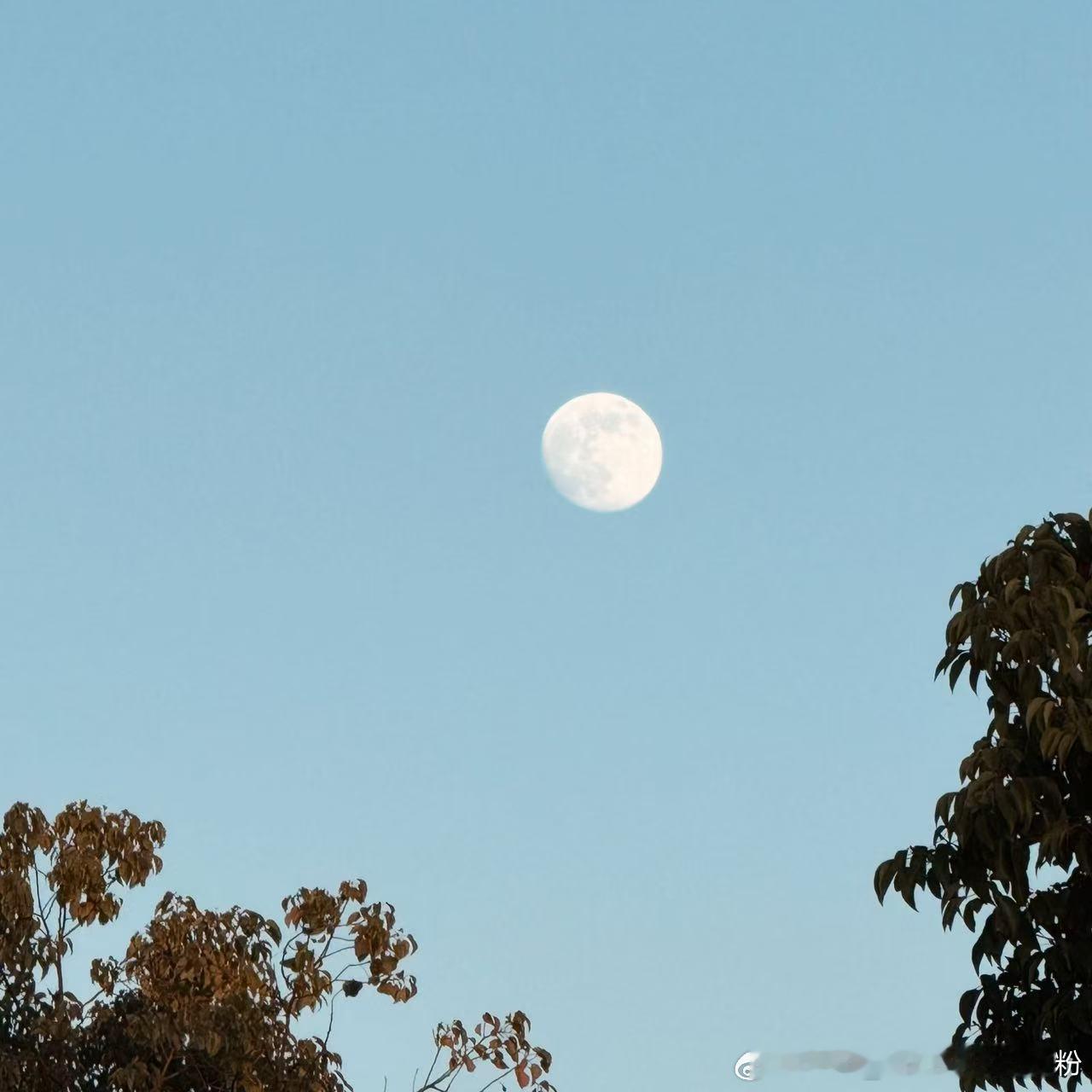 好开心的一天work day