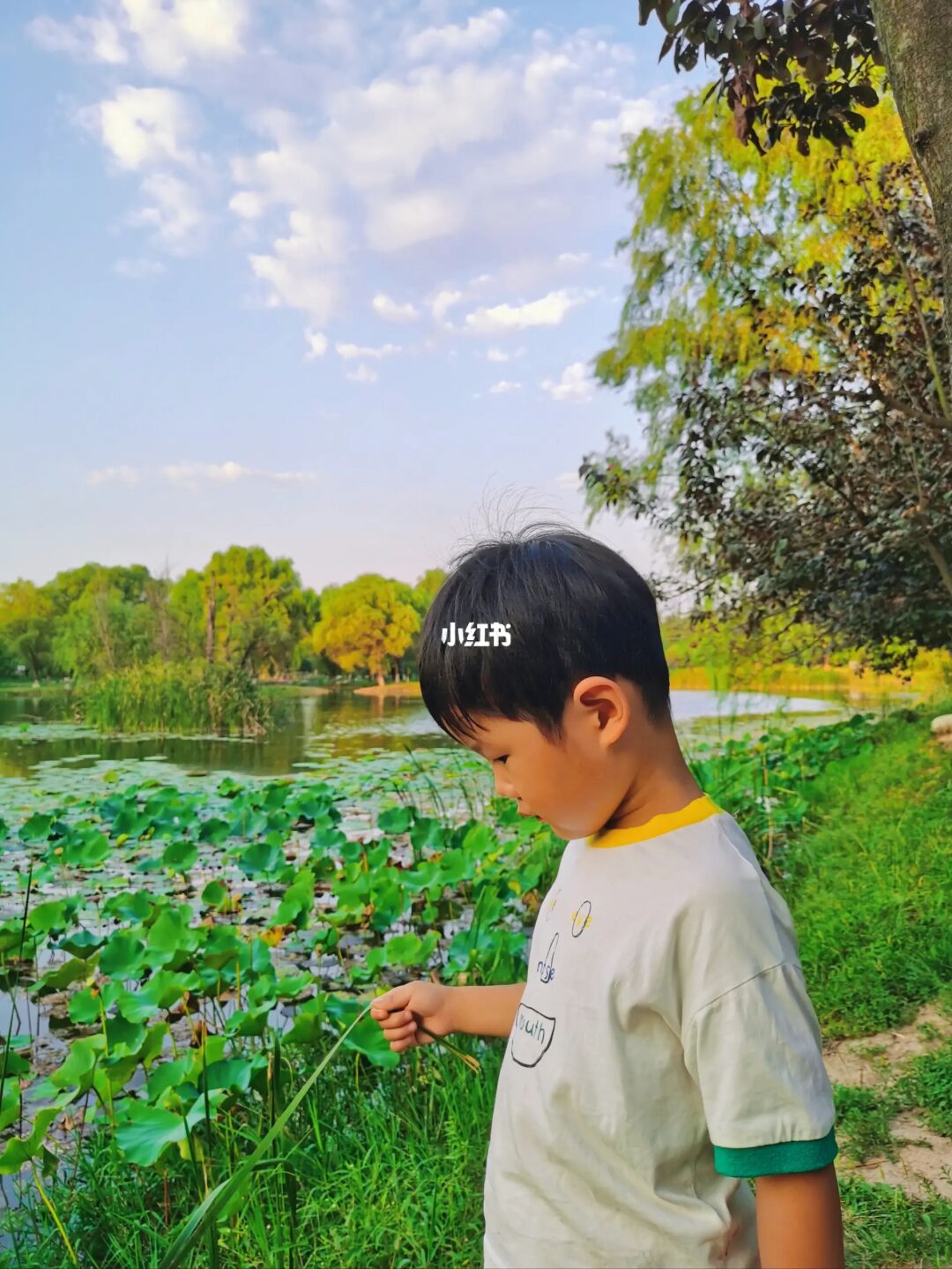 朋友圈被问疯了！真的是西安的宝藏露营地！