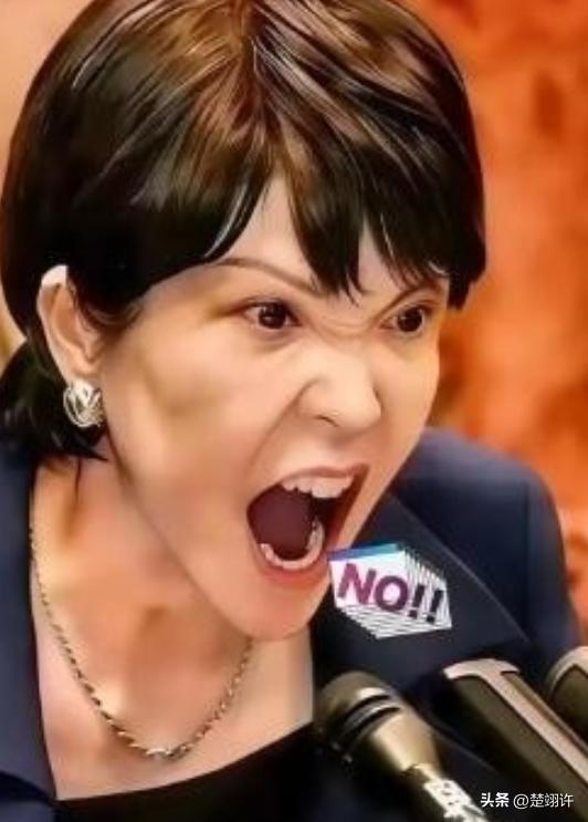 就在所有人都觉得该收手的时候，两个日本巨头，三菱和索尼，突然在中国市场砸下了重注