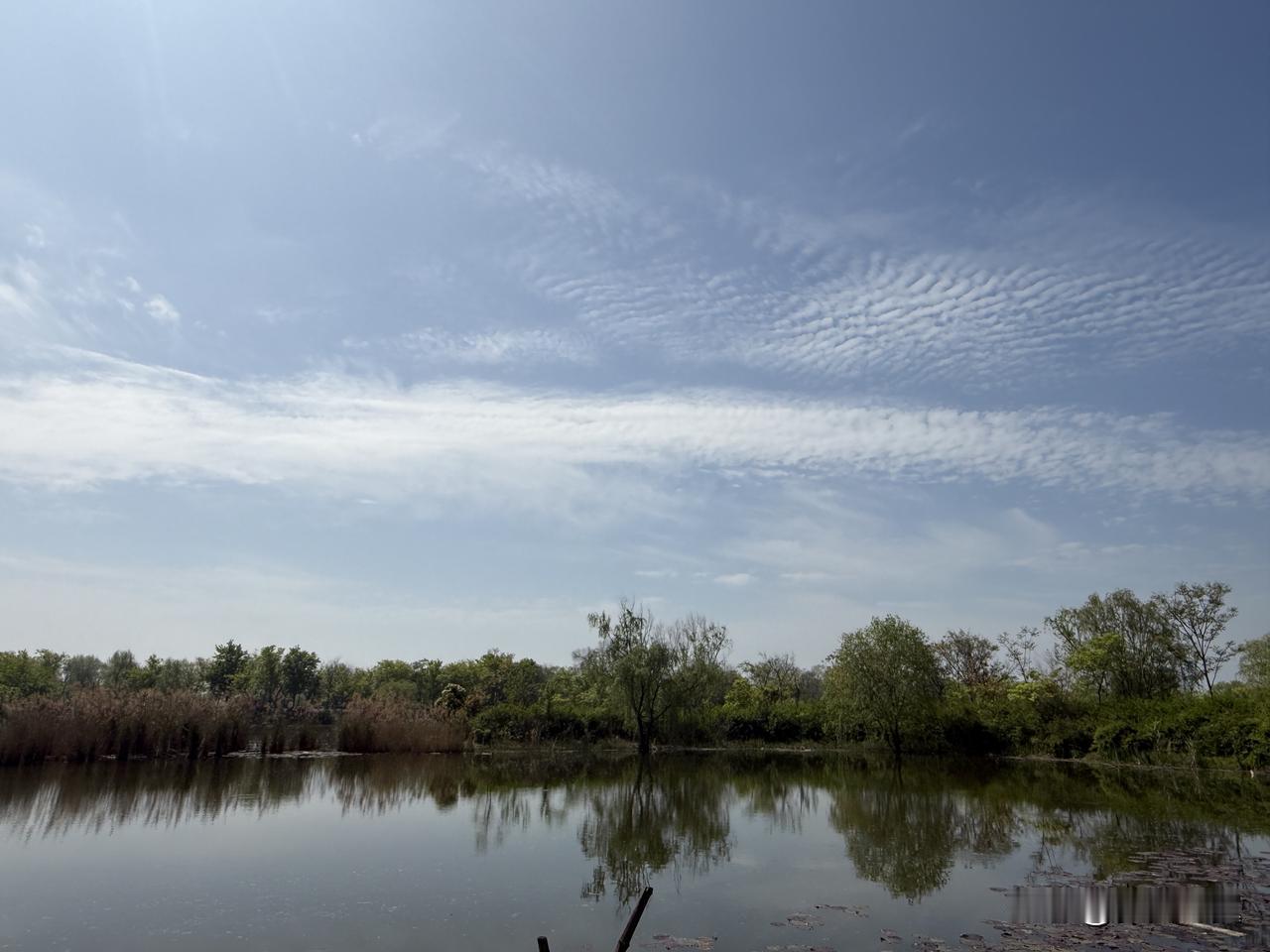 【小对联】
上：……？
下：耐寒。