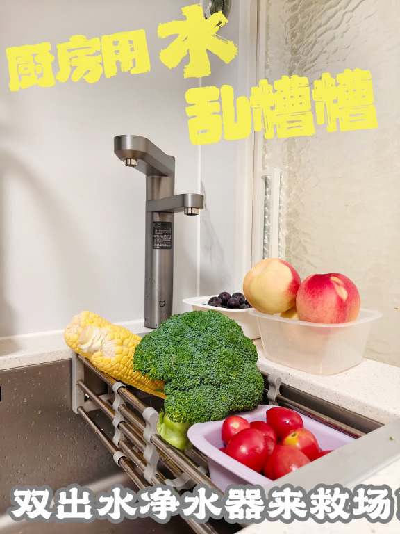 厨房用水“大麻烦”，双出水净水器来“搞