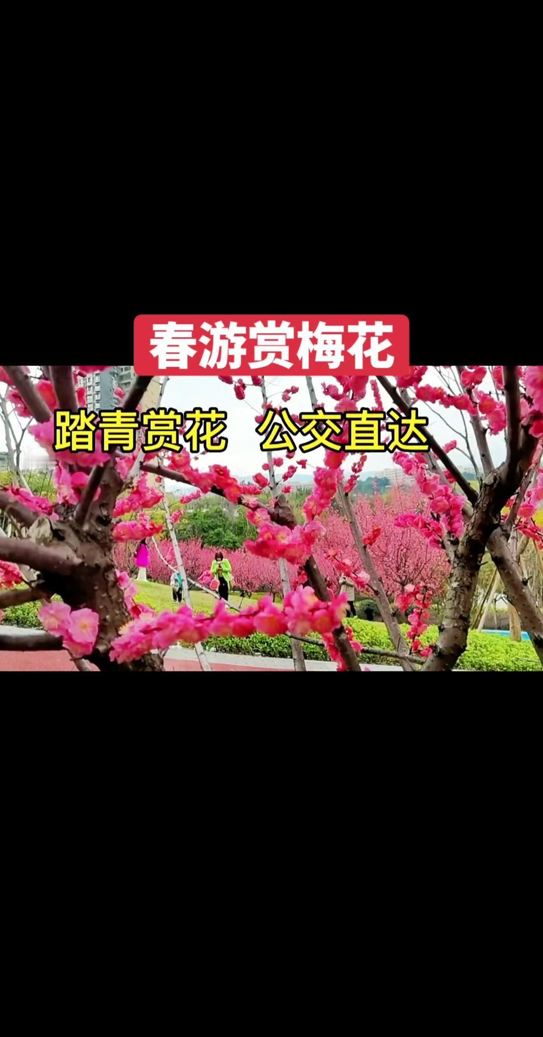 😀不用翻山越岭，不用舟车劳顿，选一处就近的公园踏春赏花，几乎不是难事。

🏞