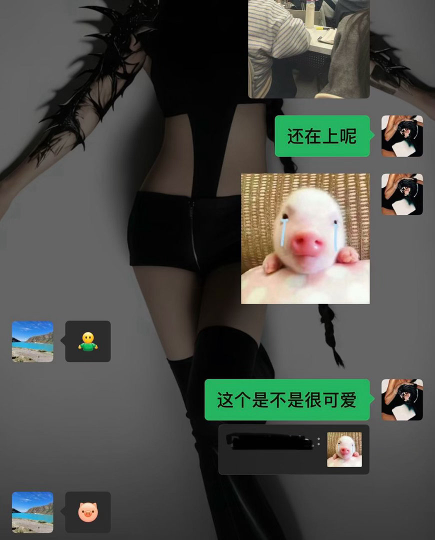 猫猫好可爱口牙🥹 ​​​