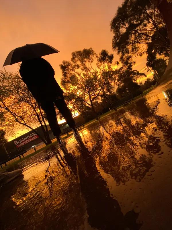 馨漪婉风所作的《七绝•黄昏雨》韵味十足。“落泪桃花惹旧伤，黄昏细雨递微凉”，瞬间