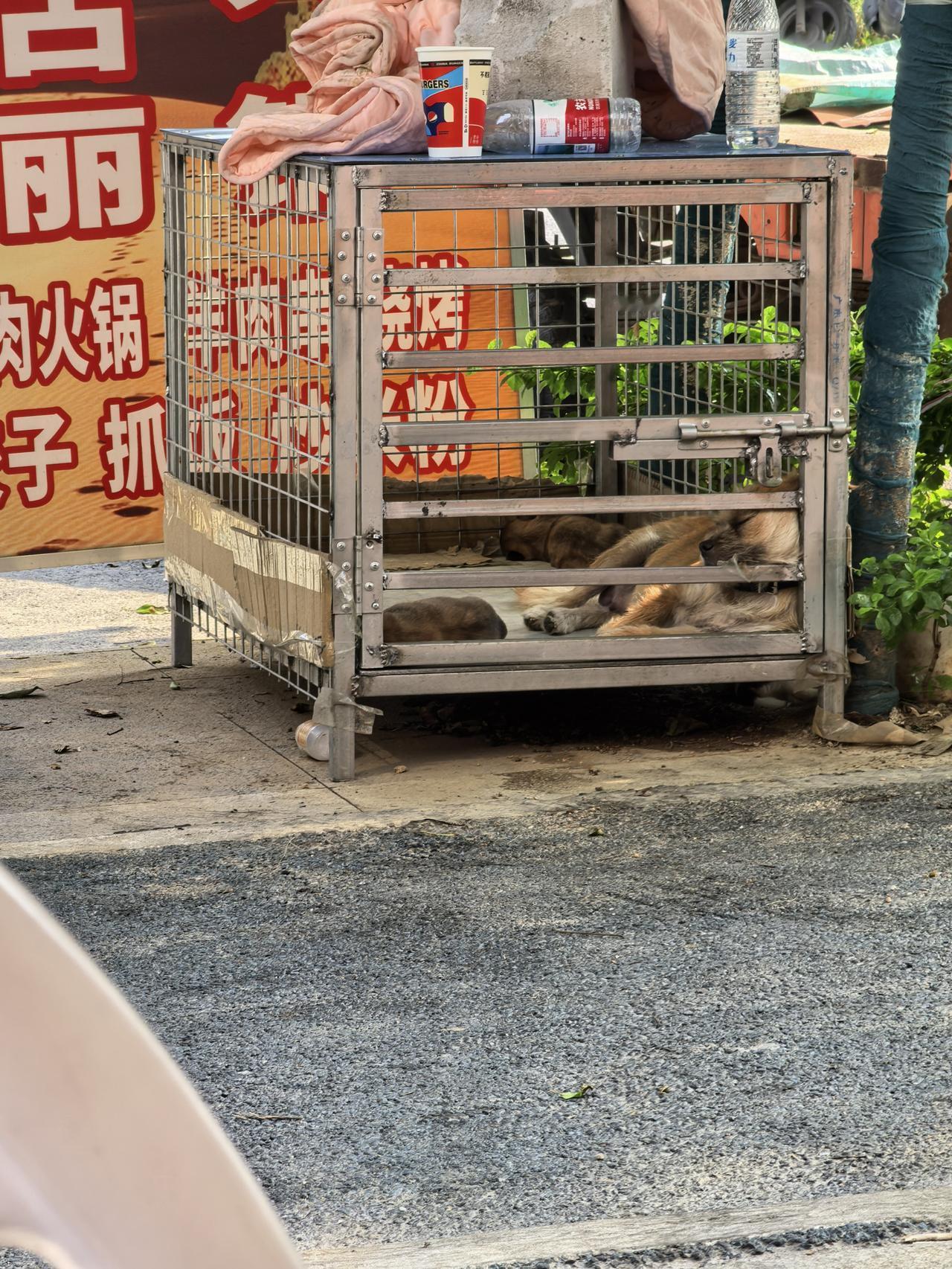早上和帅哥去吃早餐，发现有爱的一幕。
最近小区门口开了一家早餐店，我和帅哥一起去