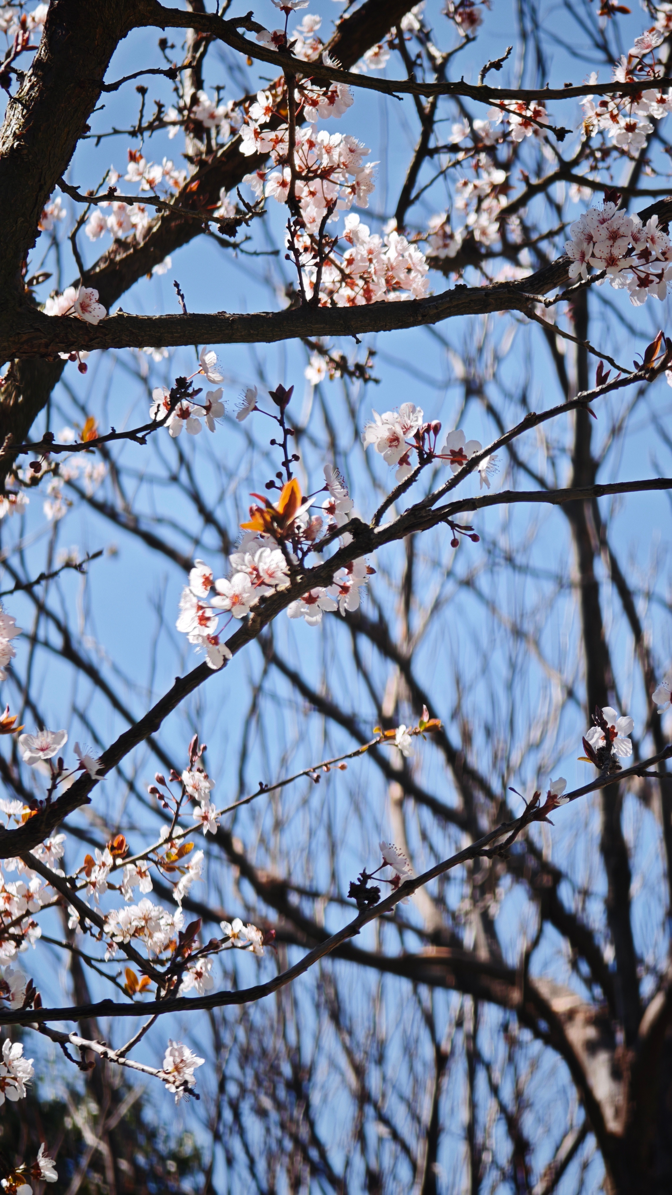 今天是国际罕见病日，每一个生命都值得被温柔照亮。感谢京东健康公益、病痛挑战基金会