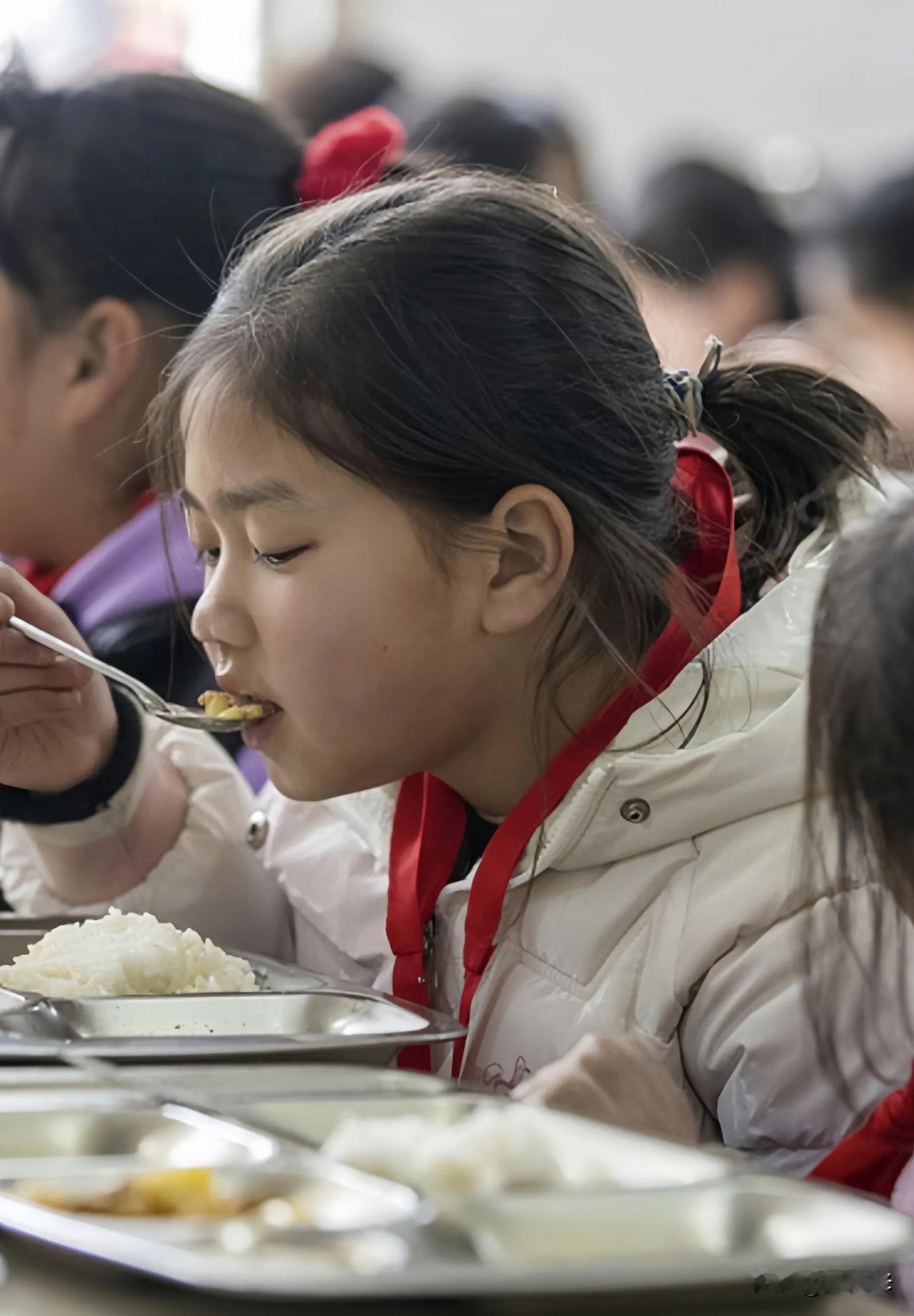 全国农村学校食堂审计结果出炉，事实证明，学校食堂已经成为贪腐“重灾区”！

报告