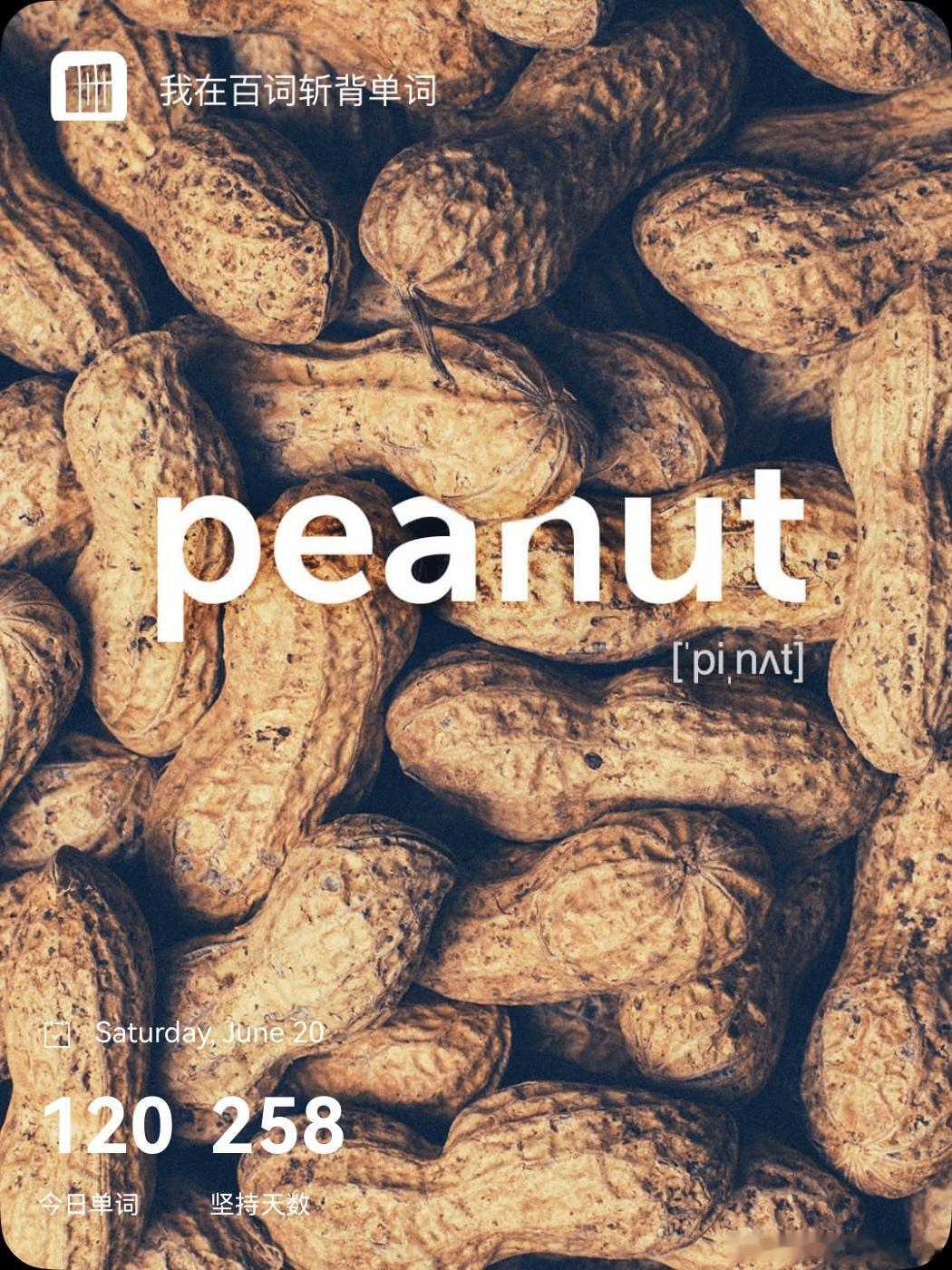 乘地铁背单词 peanut  英 /ˈpiːnʌt/  美 /ˈpiːnʌt/n