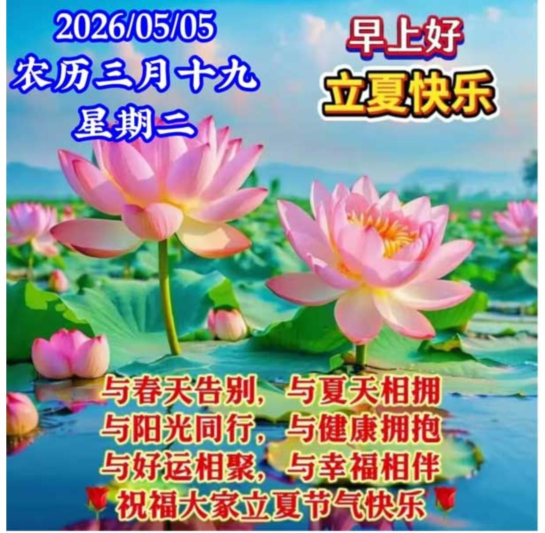 立夏到，问候送；
朋友话，要记牢；
好心情，多传递；
养身体，柠檬茶；
降火气，