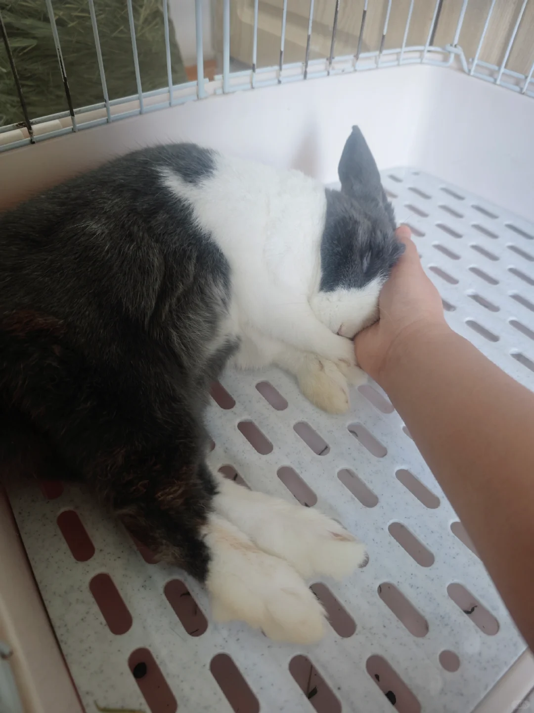 小孩子🥺