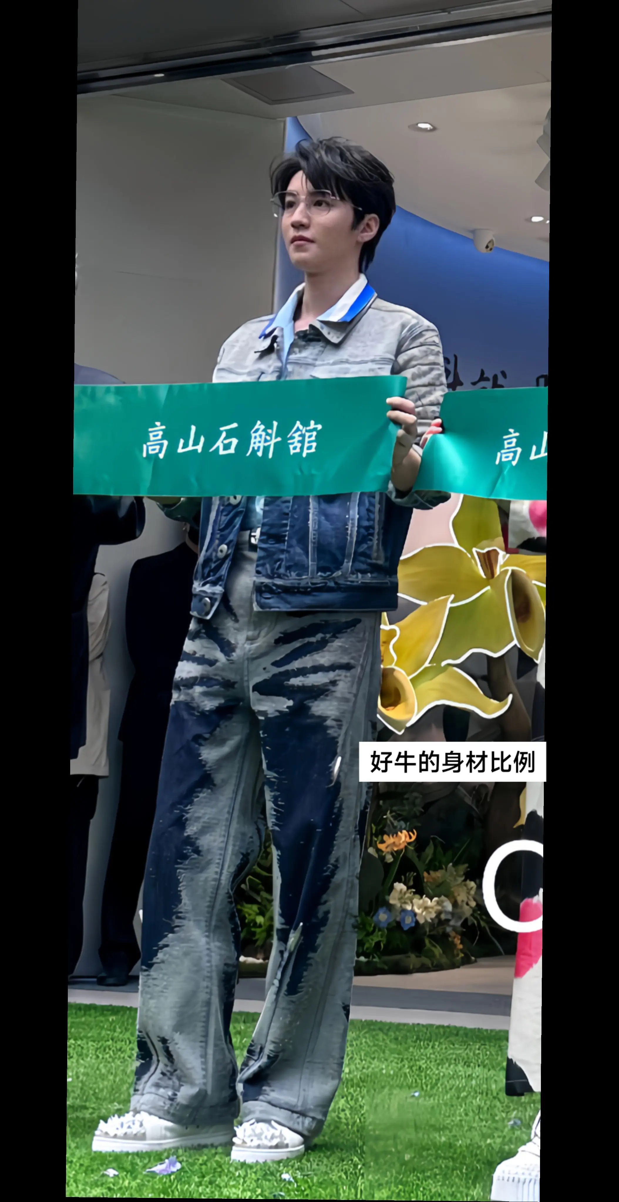 好牛的身材比例