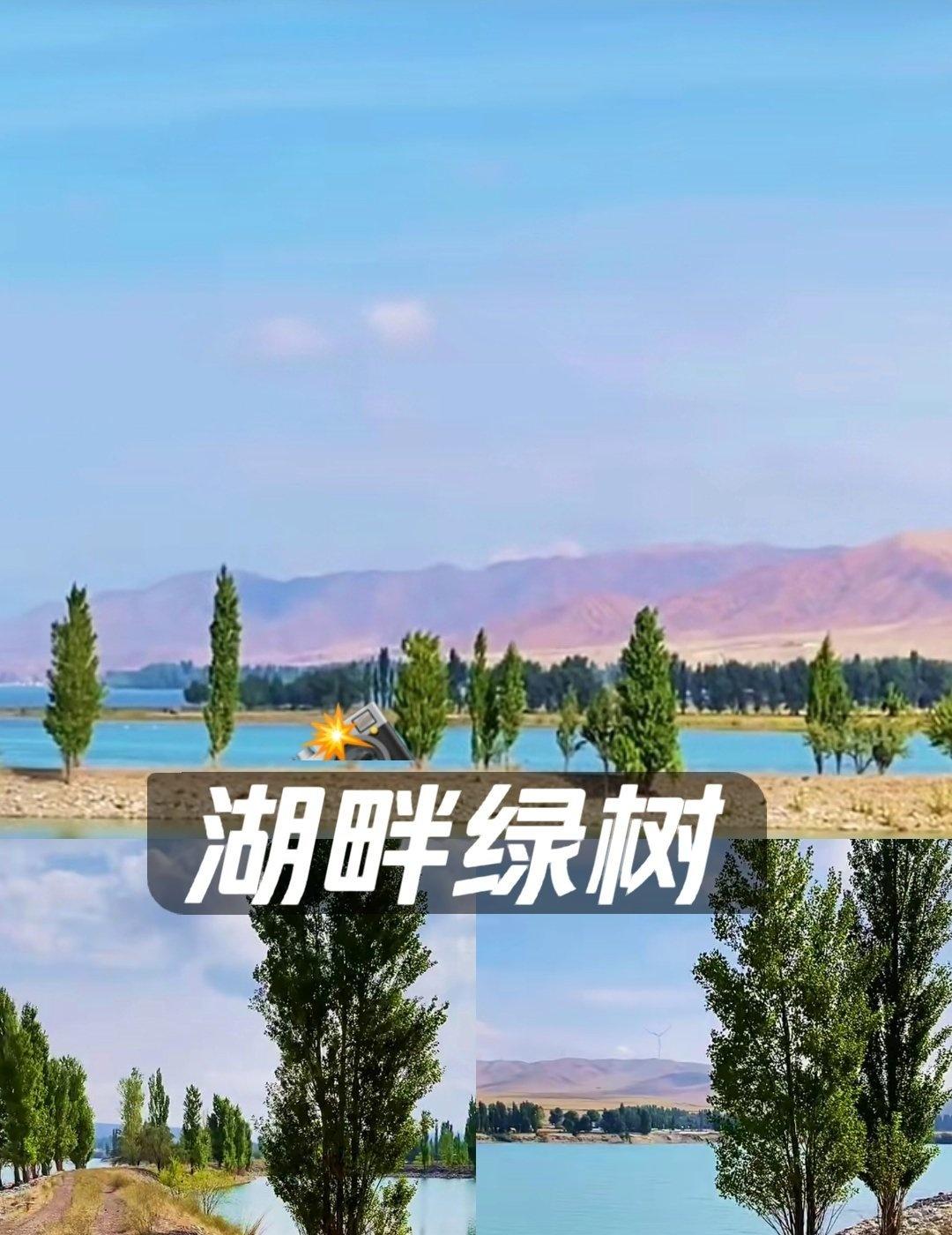 与朋自驾游途径这里，遇见了“高峡出平湖”的场景，面积很大，天蓝水绿、空气清新、视
