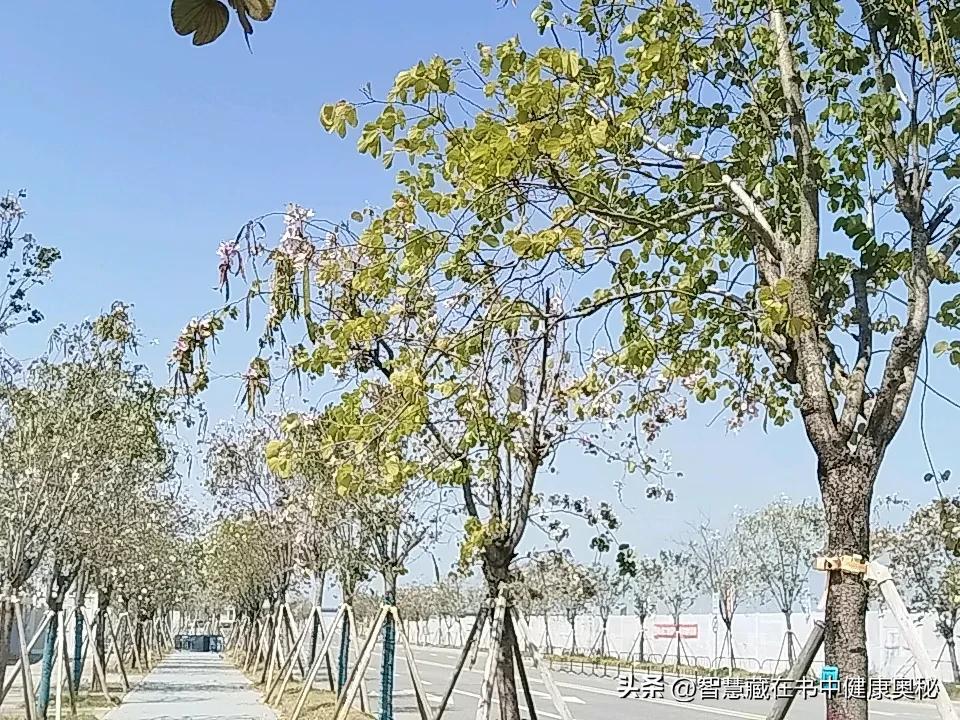 我喜欢健康养生，常常出门晒晒太阳，赏花，呼吸新鲜空气，散步锻炼！静心，让身心自由