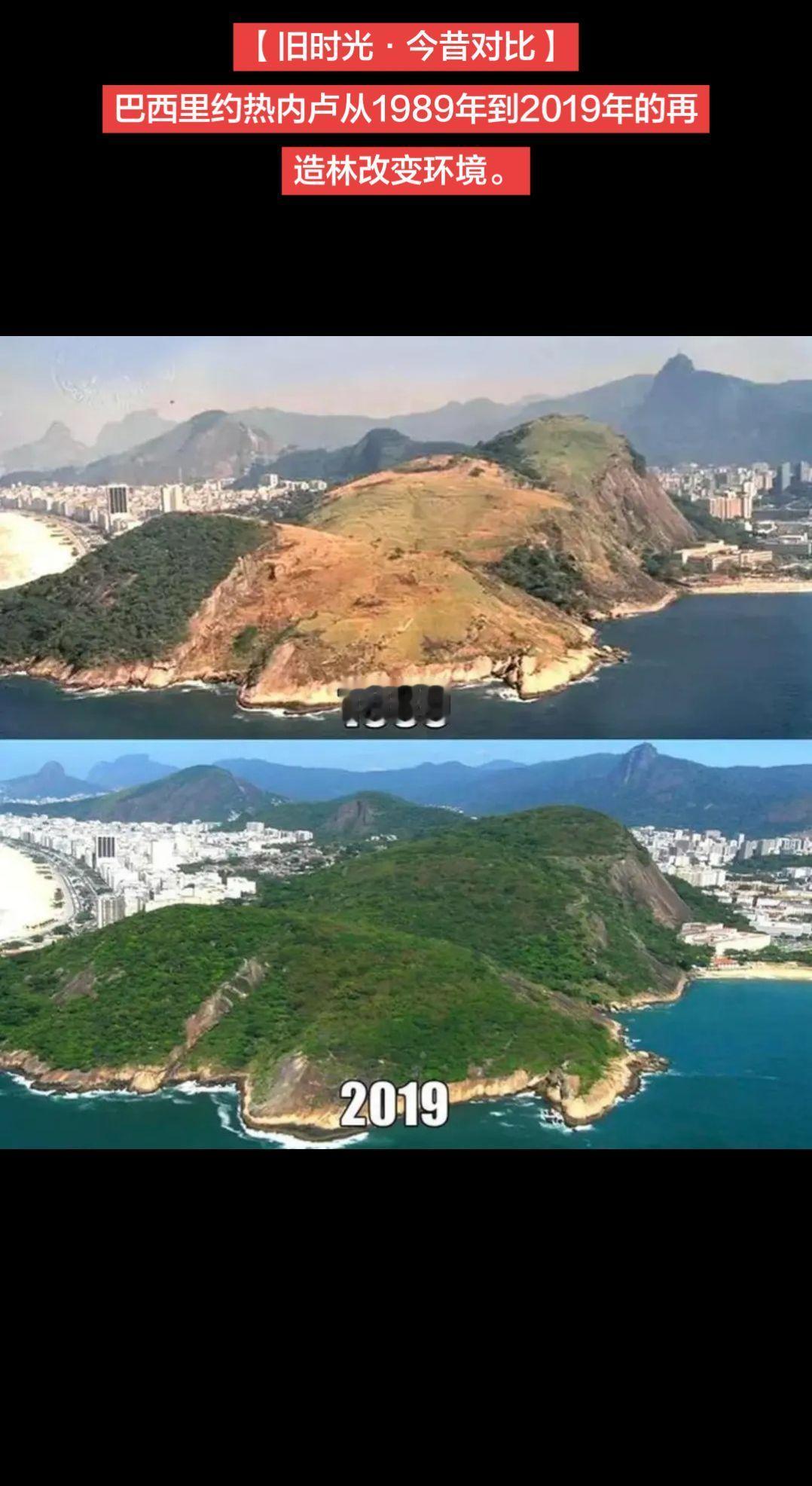 【旧时光·今昔对比】巴西里约热内卢从1989年到2019年的再造林改变环境。