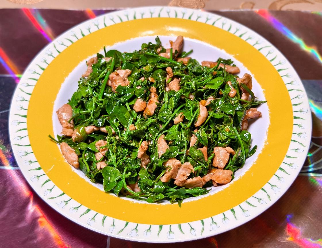 花椒芽炒肉丝[笑]