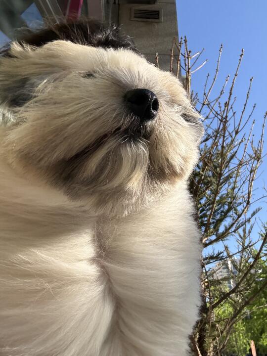 人 去玩吧 记得回来接我（左划情头
