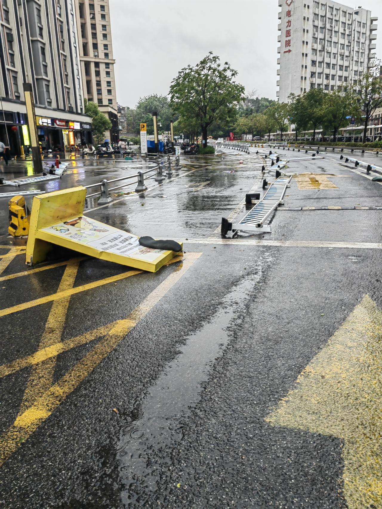 晒图笔记大赛今天黄埔的风和雨大不大，全部放倒。阳台全是水。