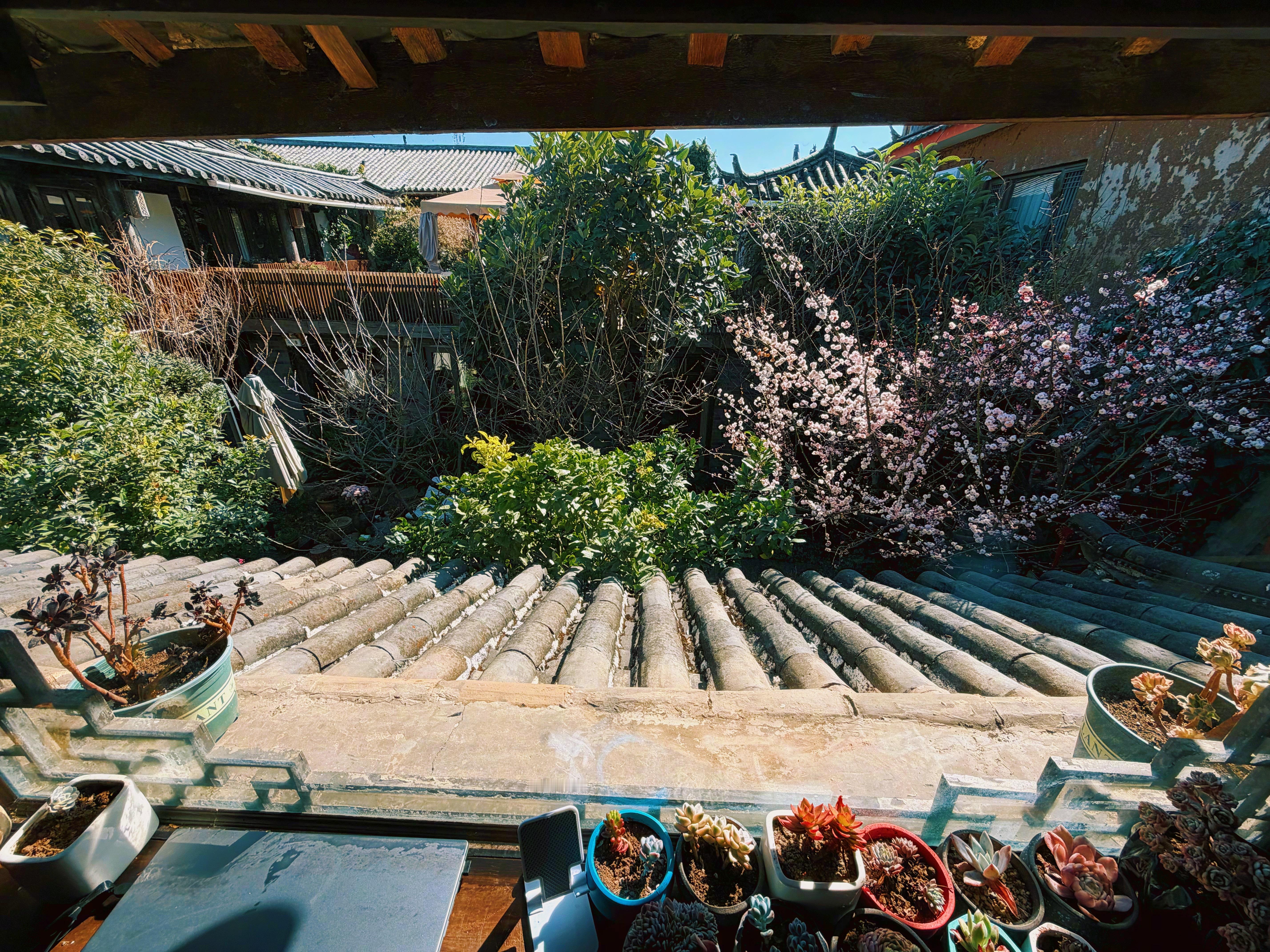 记录一下今日份的窗外。 