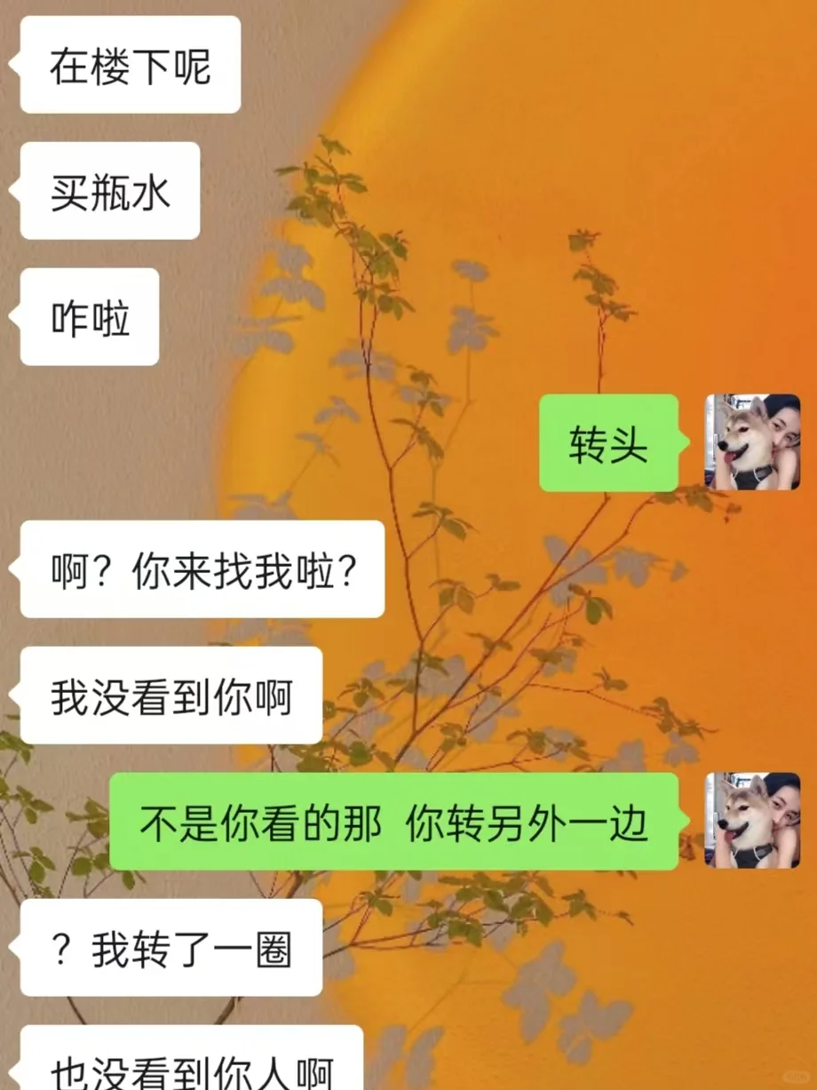 这么久没回信息还活着吗