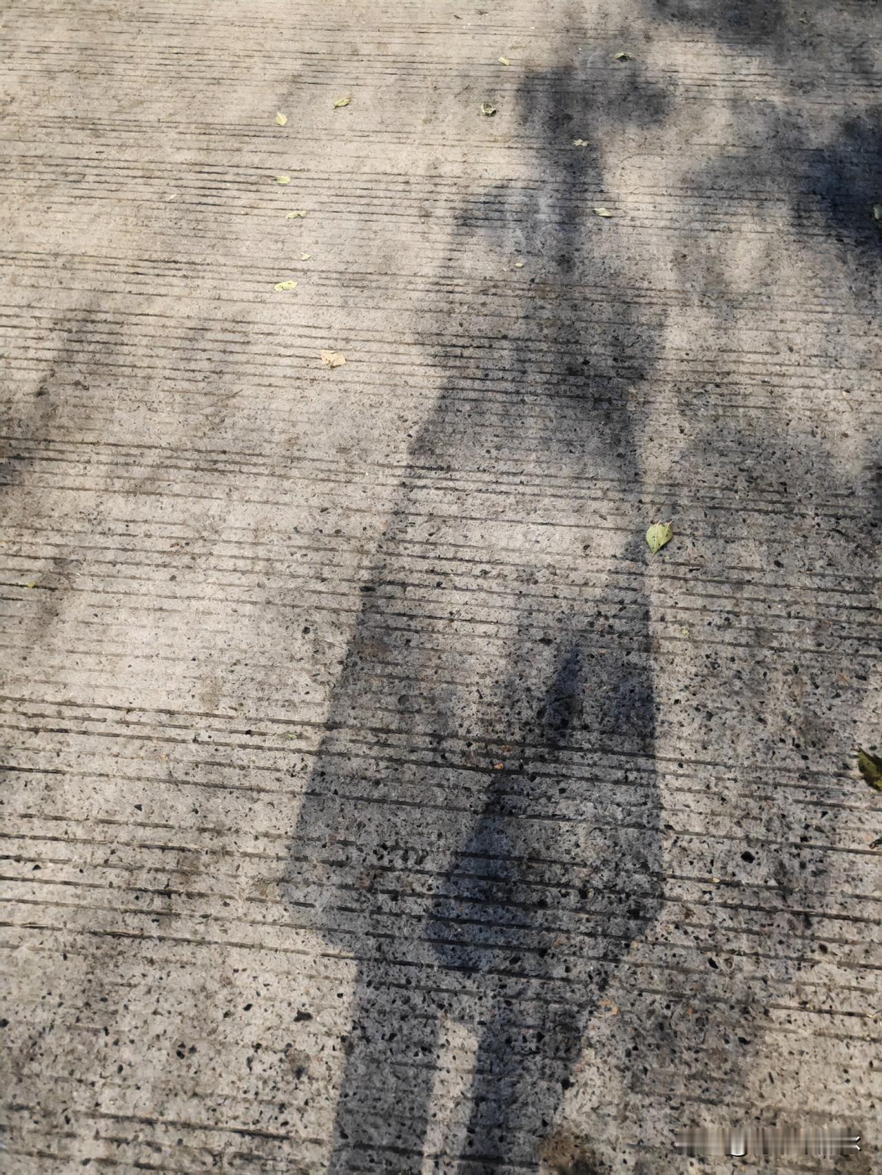 家人们快瞅这影子——这是人能长出来的轮廓？

腿细得像没吃饱的竹竿，身子歪得跟被