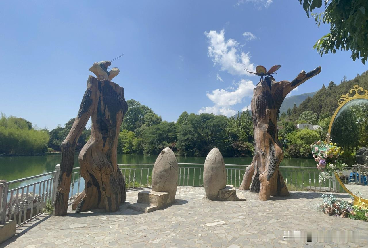 大理蝴蝶泉风景优美，古树也成双成对，就像电影《五朵金花》里的金花和阿鹏一样永不分
