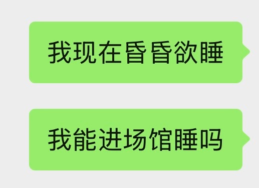 我的精力be like 