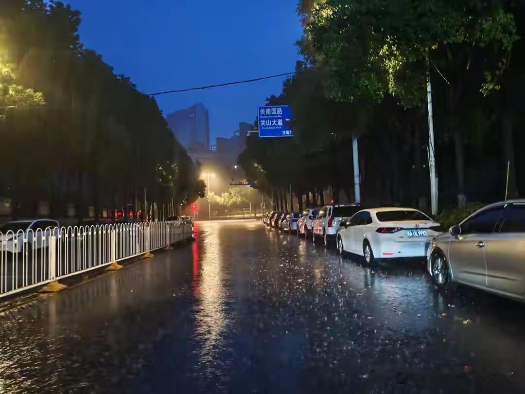 武汉这雨，下得太狠了！老天爷是替中考生哭的吧？

端午假期的清晨，武汉人不是被粽