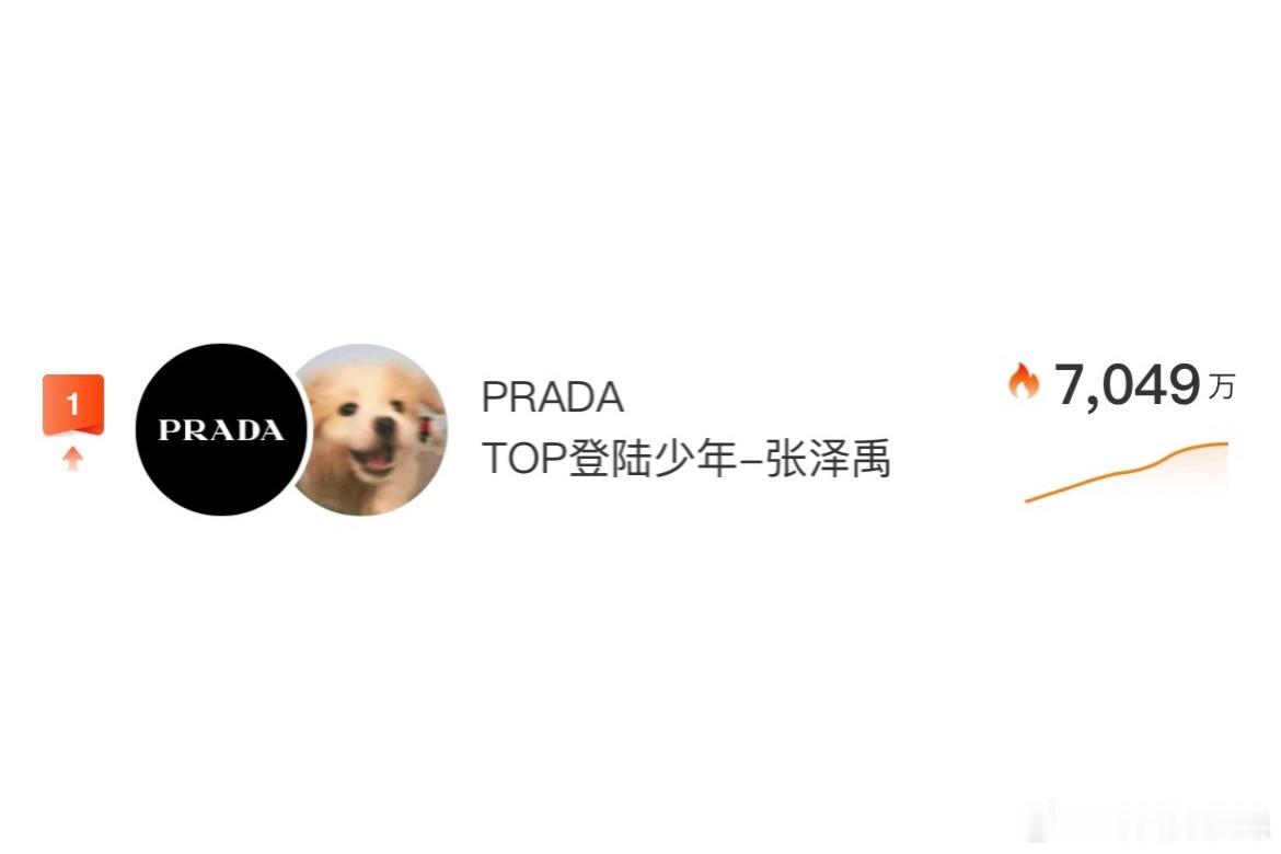 们狗就这样带着PRADA好萌吧 