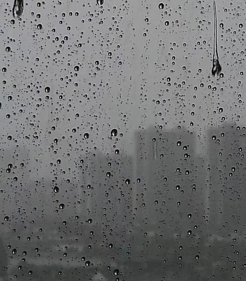 7月6日星期二（农历五月二十三）小暑节气。
天津即时天气：雷雨大风黄色预警，东北