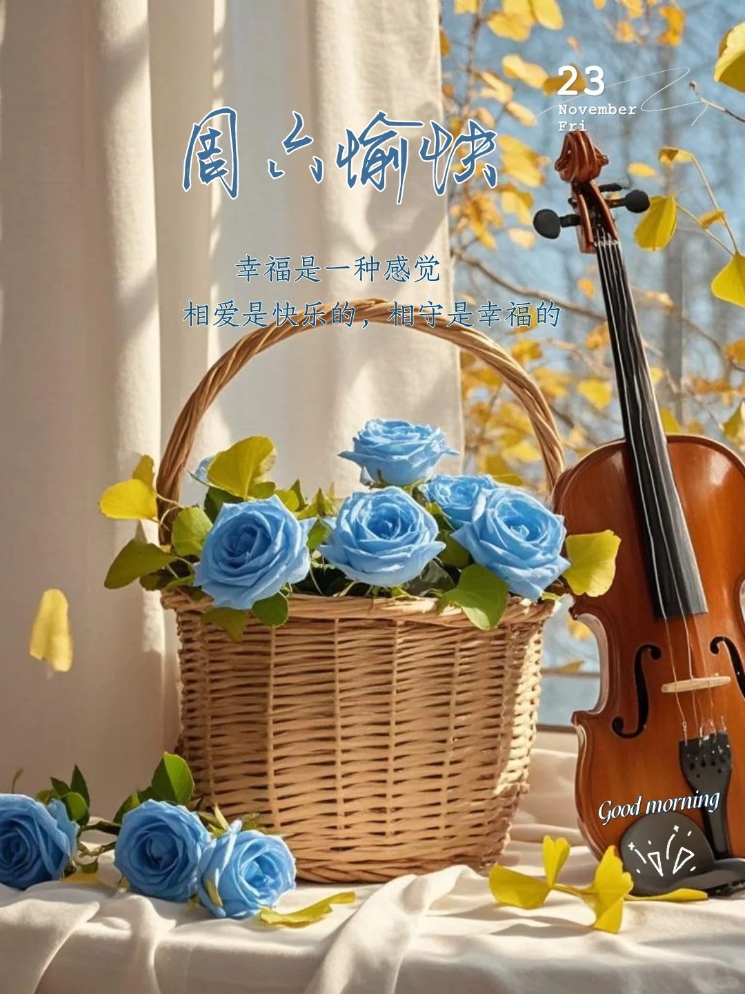 周六愉快｜海报设计｜小众文案｜蓝色玫瑰
