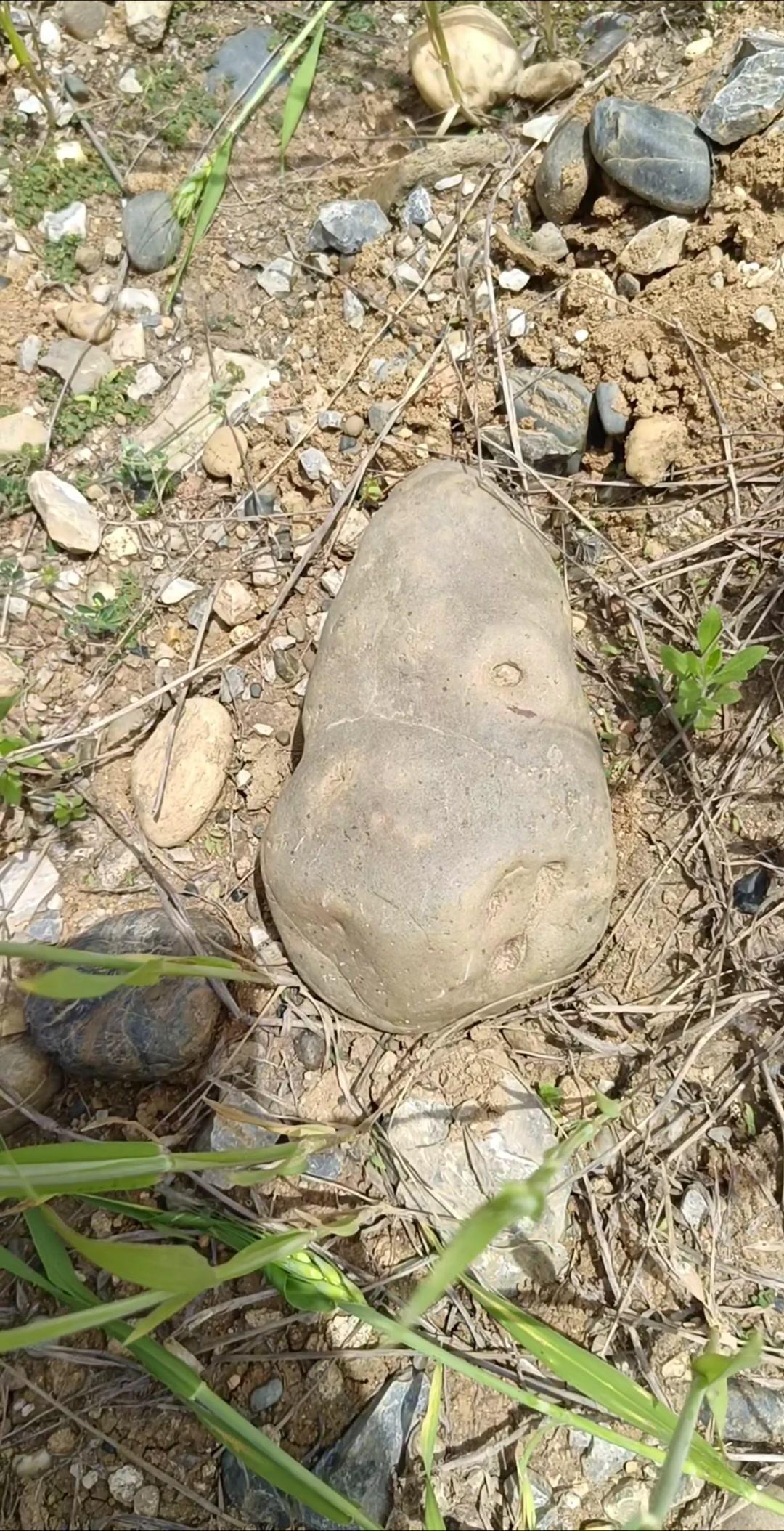 前些天出门捡石头，被一块带漂亮撞击坑的石头吸引了❗️表面坑洼的纹理很特别，不知道