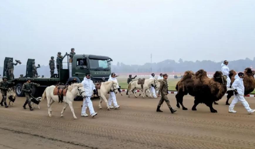动物方阵加摩托车叠罗汉，印度阅兵秀绝技，表演门槛相当高
根据媒体报道，印度正在进