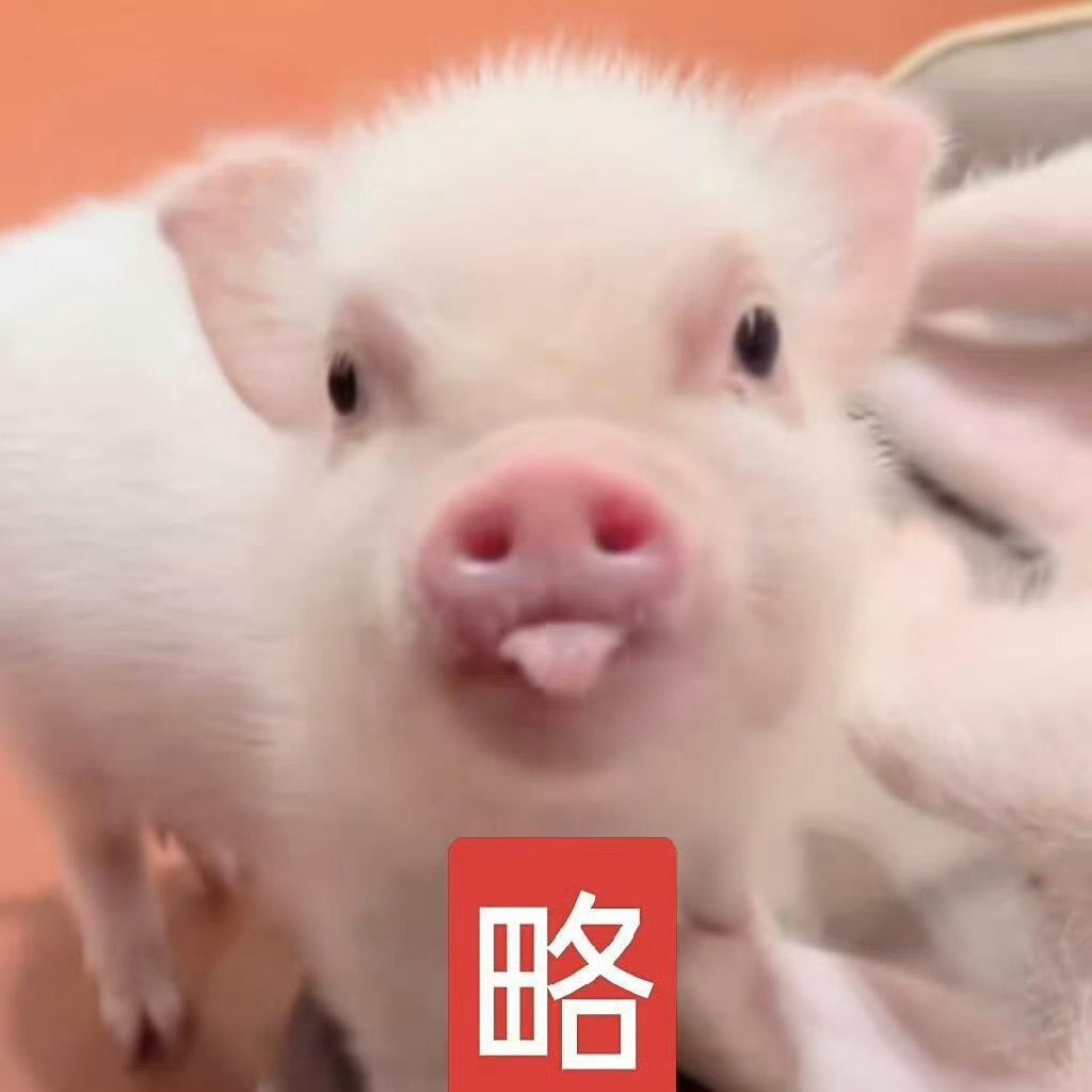 新🈷️的宝宝们来动动吧～ ​​​