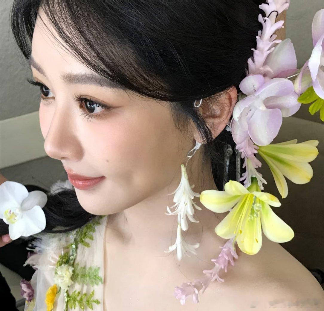 生命树yz生命树不该被谣言掩盖实力光芒  yz杨紫白菊yz杨紫生命树“可惜我文笔