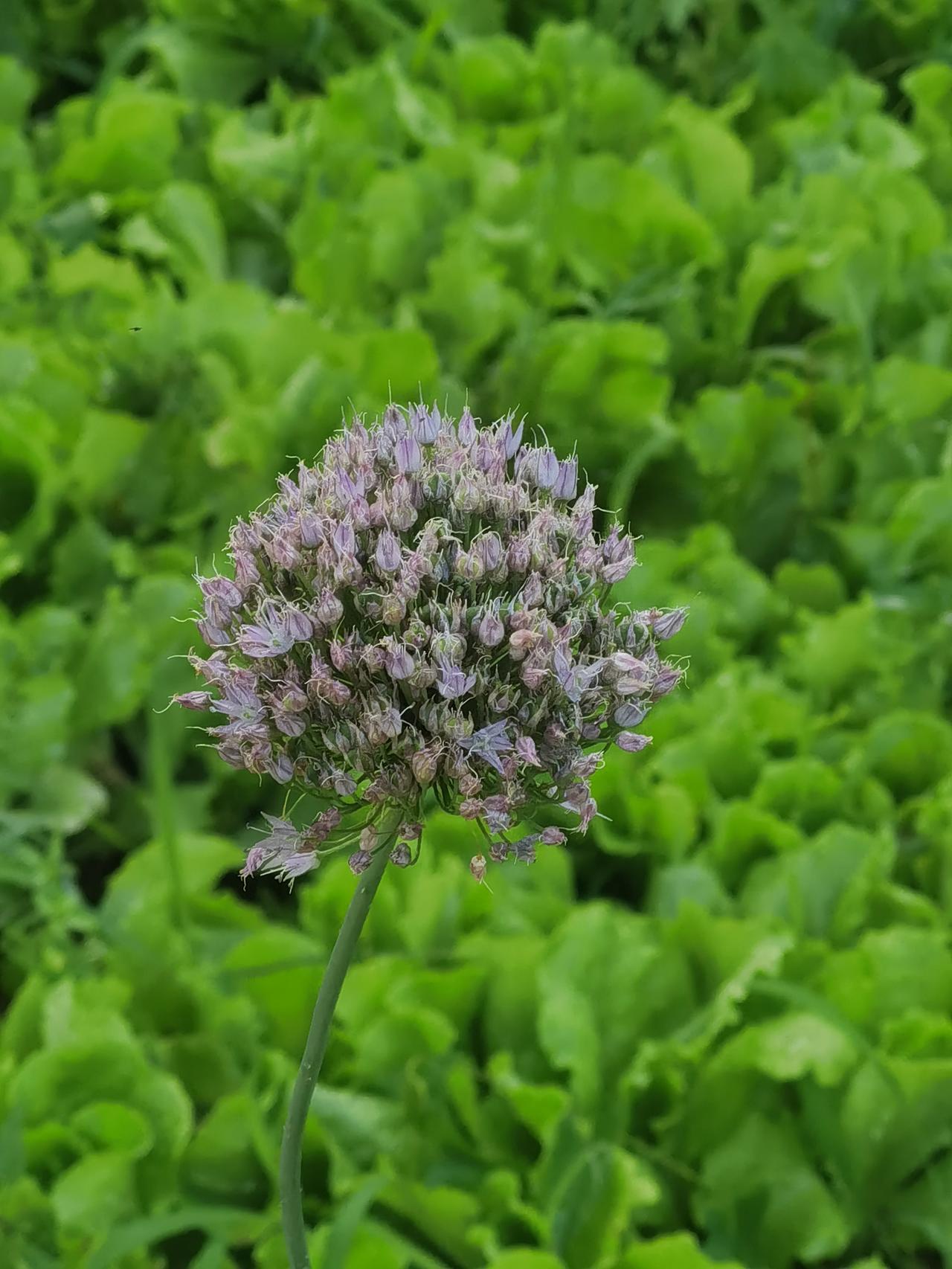 经教育部批准，河南新增4所本科院校将于2026年开启招生。其中，地处三门峡市的河