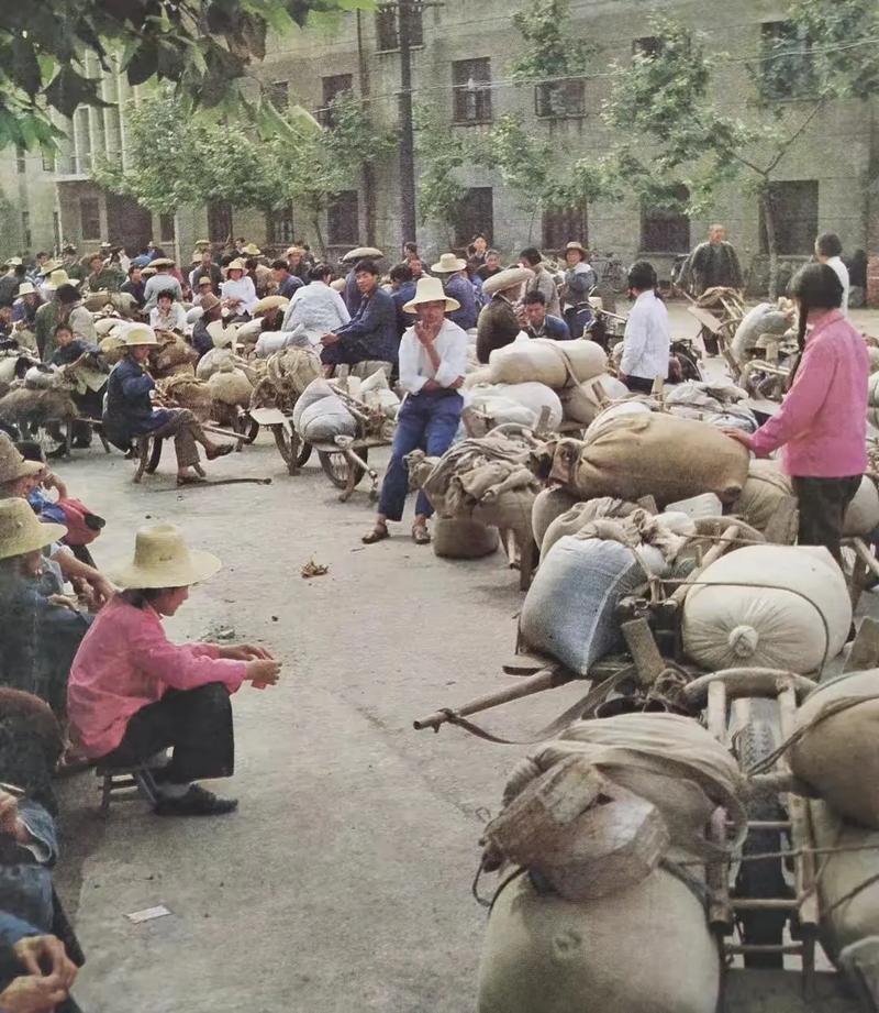80年代农民交公粮的场景。那时候没有机动车辆。人们拉着架子车，天还没亮就从家里出