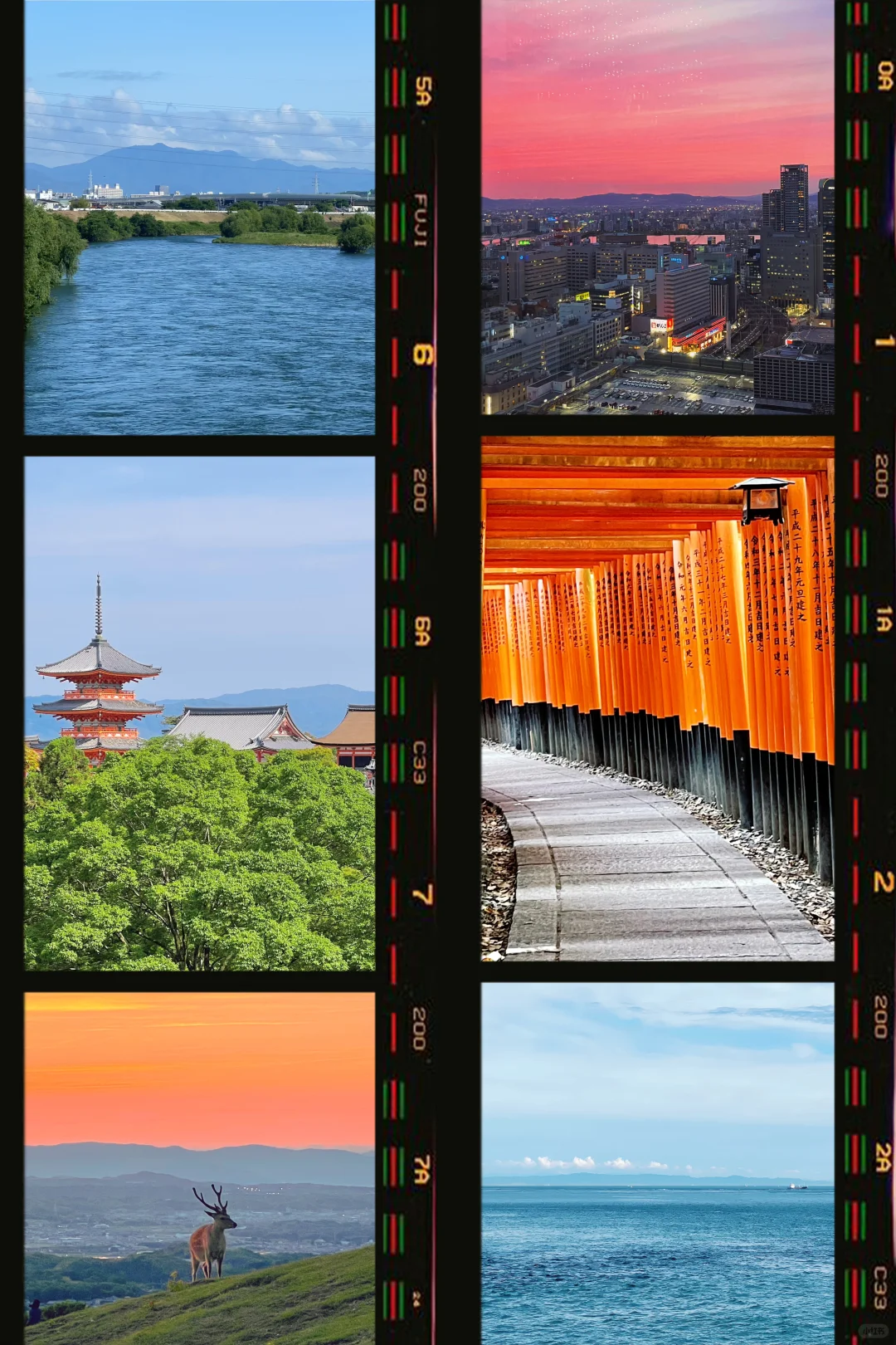 📍𝓙𝓪𝓹𝓪𝓷 “夏天是一个五彩斑斓的梦”