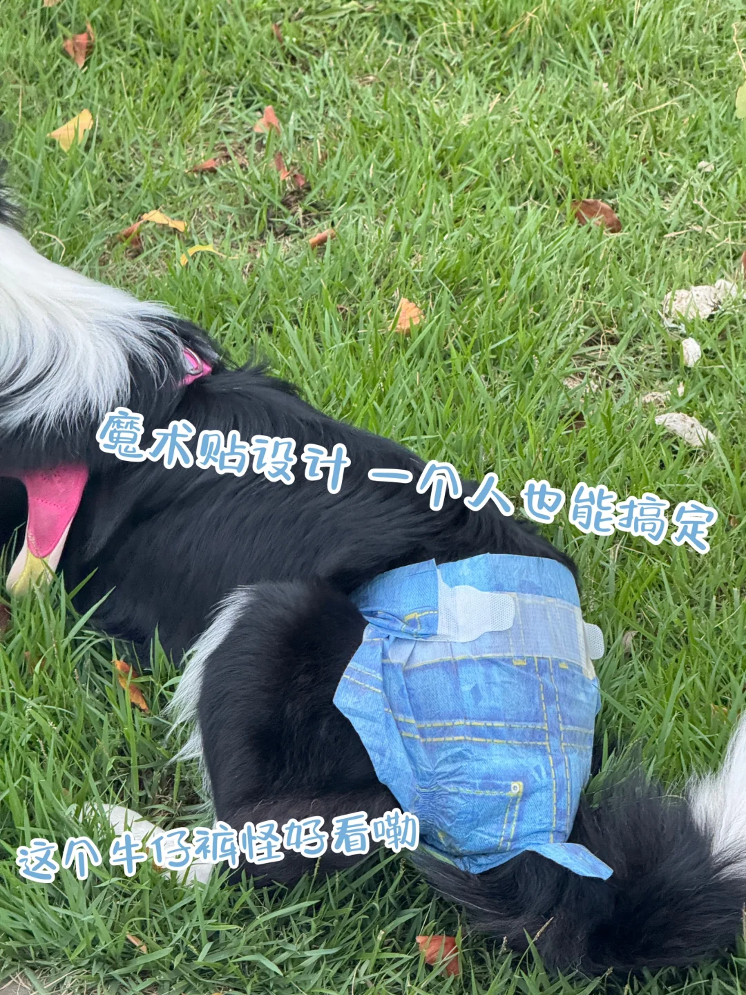 这趟旅程！牛仔女真的很忙！🤠