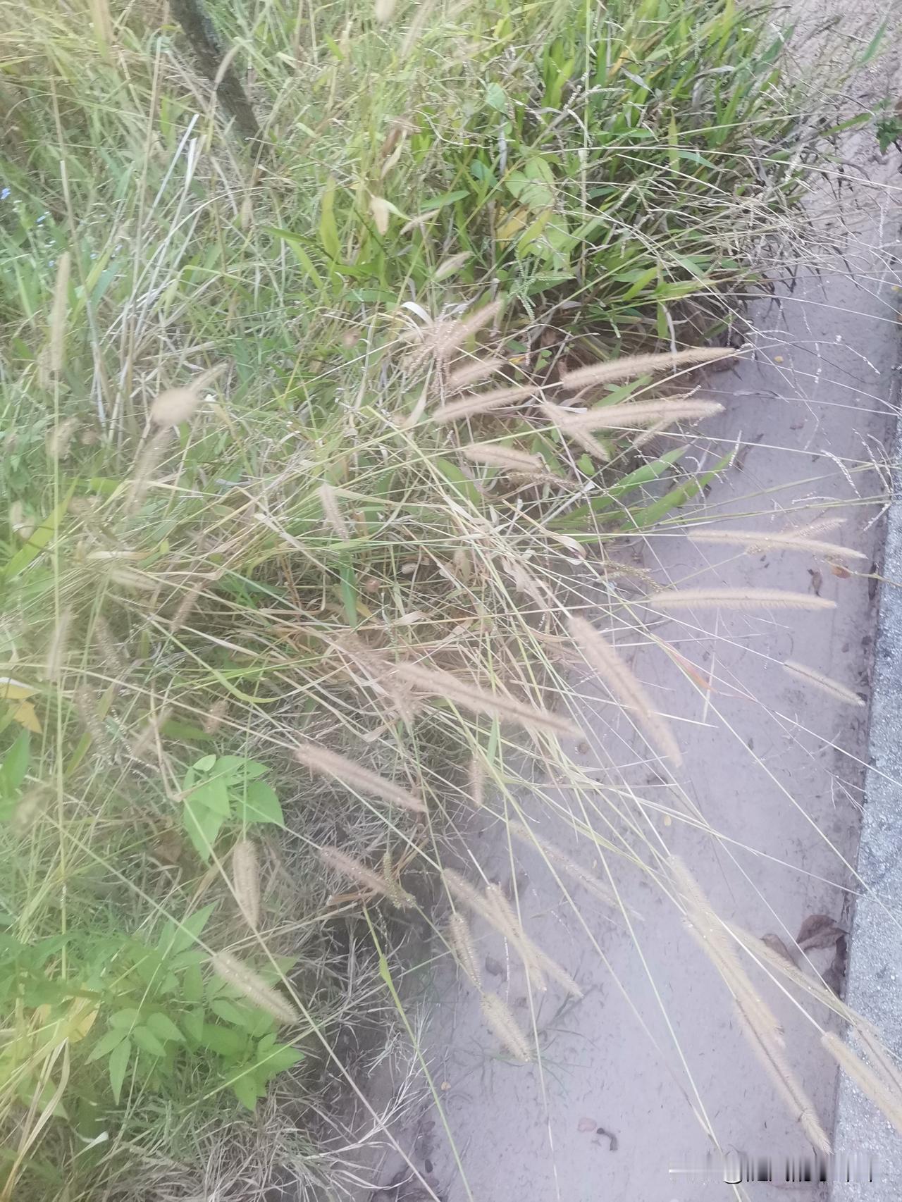 这次我不会再吵闹了
不是不爱了
是因为爱累了
你和谁聊天都可以
我也不想去管了